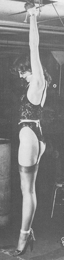 Hot bdsm classic photo