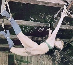 Incredible bdsm classic photo