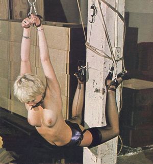 Awesome bondage classic picture