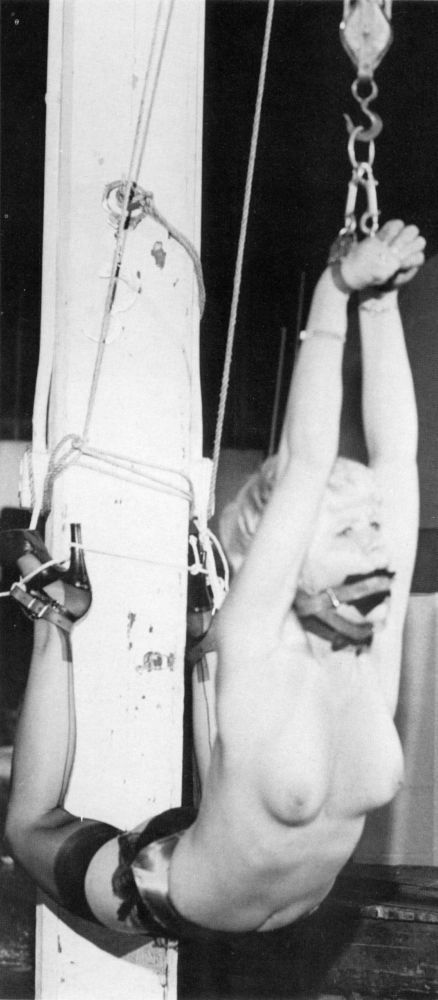 Incredible bdsm classic picture