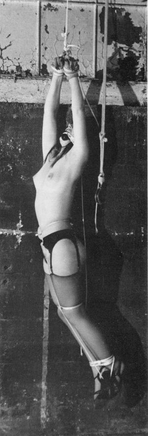 Hot bdsm classic picture