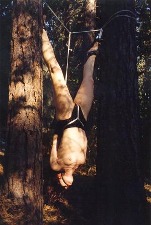 Amazing bondage throwback pic