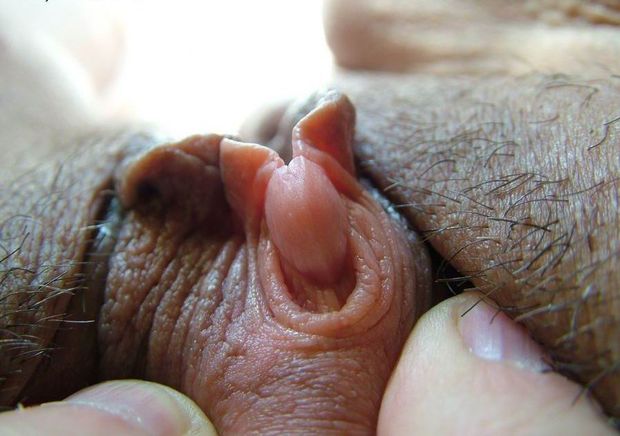 Incredible funny vagina picture