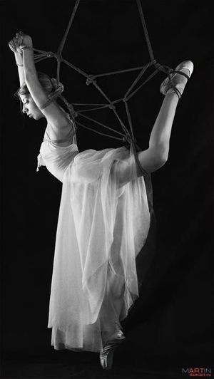 Amazing bdsm picture