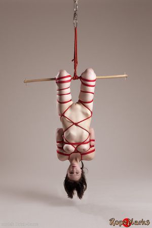 Incredible bondage pic