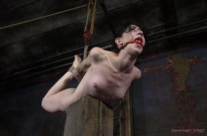 Incredible bondage picture