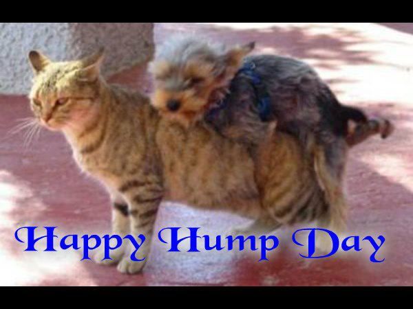 For My Followers
