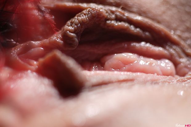Amazing vagina pic