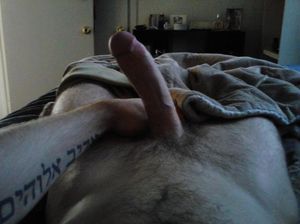 Shawn Wolfe (gay pornstar)