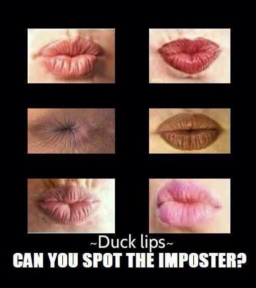 Amazing funny pic