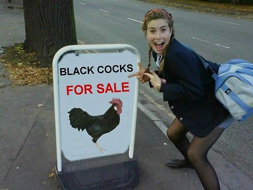 black cocks for sale