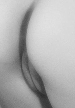 Vulve vue de dos