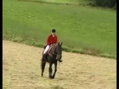 Beautiful blonde in this hot butt sex blowjob scene