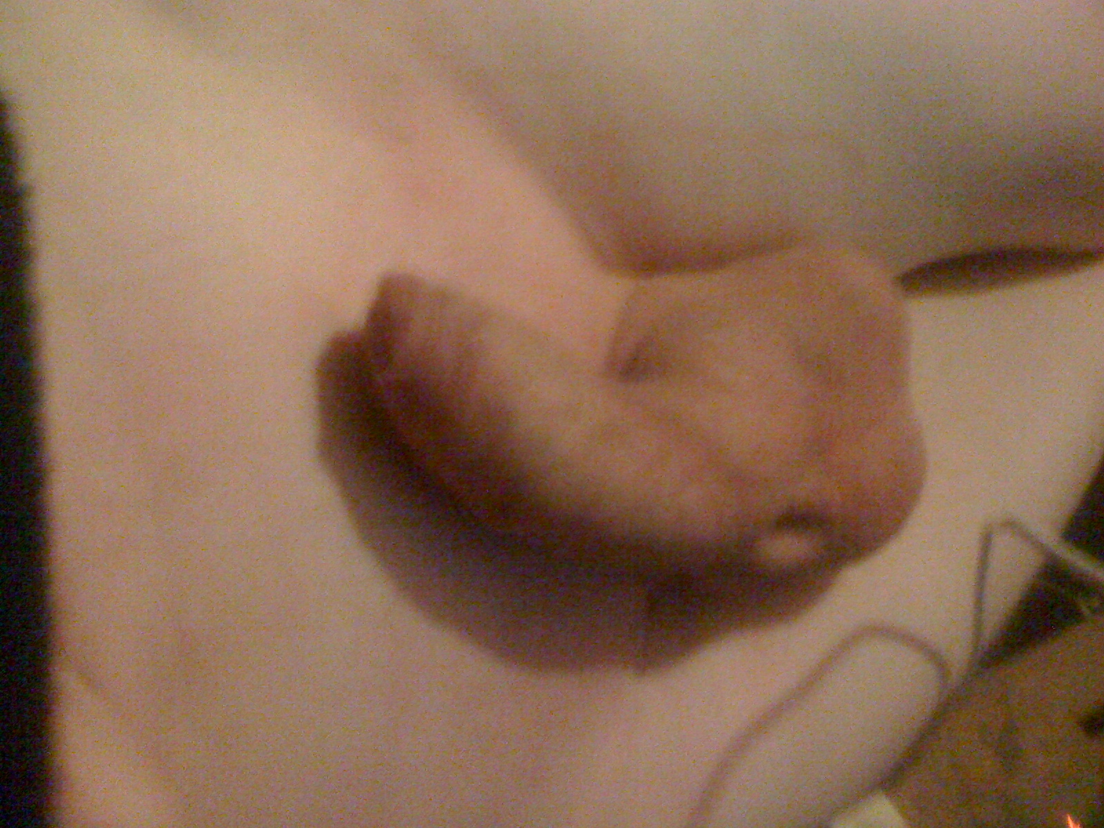 Beautiful rookie in hot rub selfshot picture
