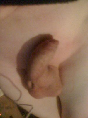 Beautiful rookie in hot rub selfshot picture