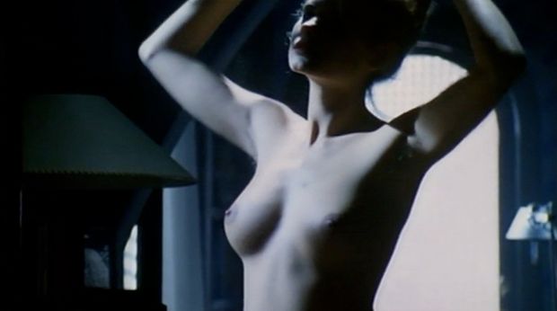 Today update deals with the movie The Voyeur, another masterpiece by the master of erotism: Tinto Brass. This movie, inspired by a Moravia&#