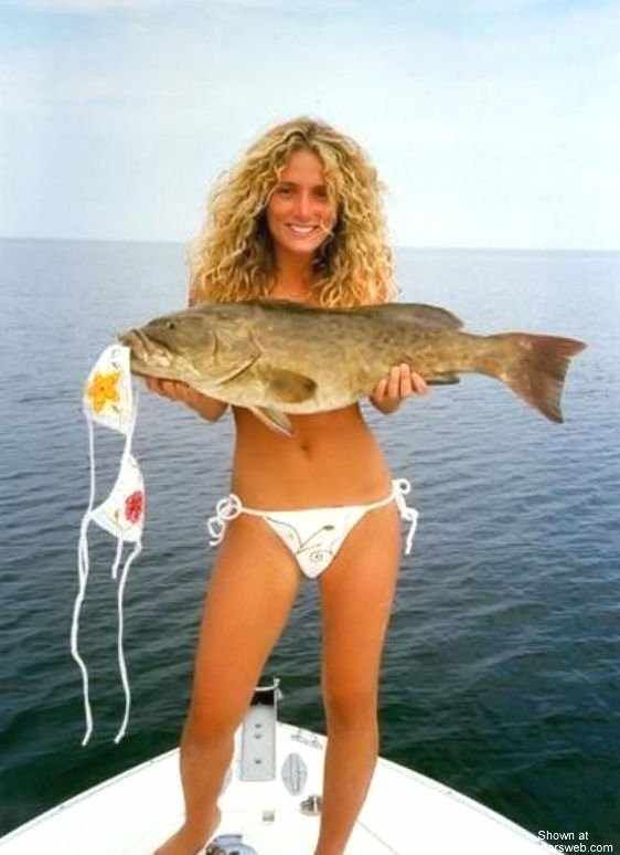 great bait!