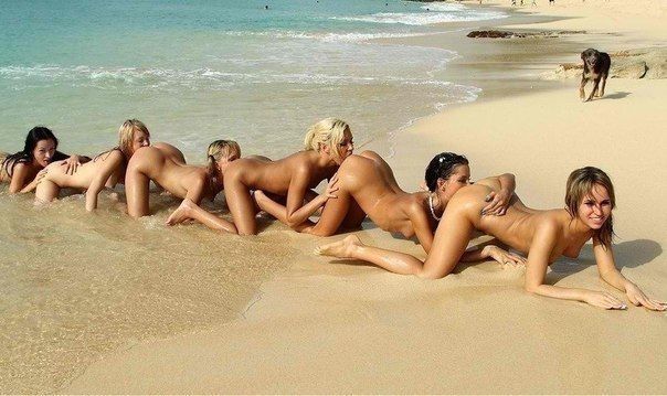 Amazing picture featuring amazing lesbian ass