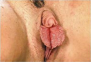 Hot wife vagina pic with a amazing cougar