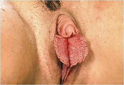 Hot wife vagina pic with a amazing cougar