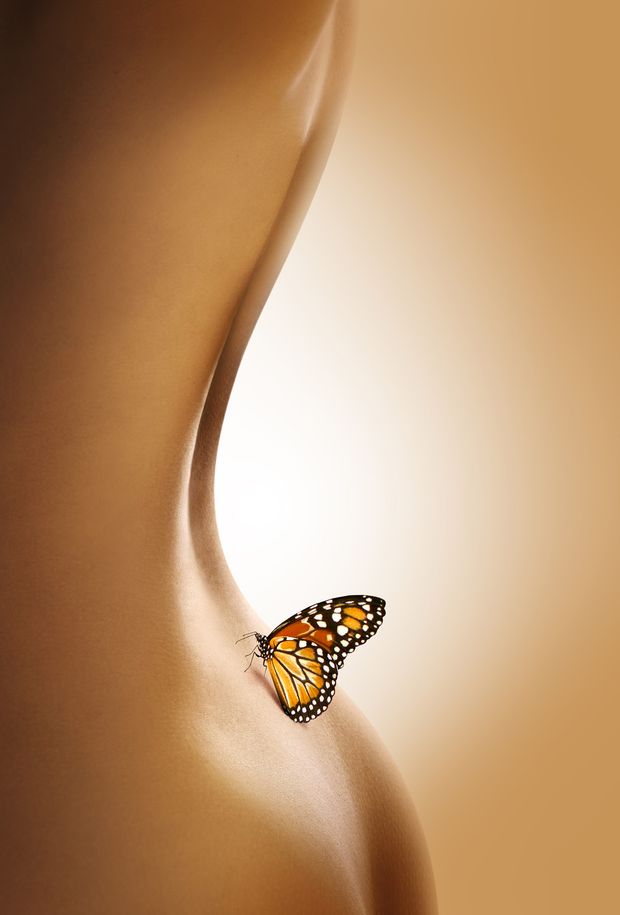 Lucky butterfly