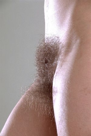 Incredible rookie pussy photo with fabulous brunette hairy