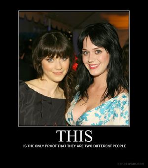 Click image for gallery.