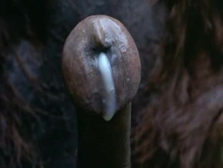 Incredible vintage video