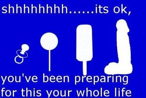 Incredible funny photo