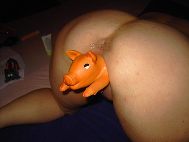 pig in a poke