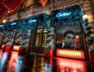 Amazing rookie picture with a superb novice