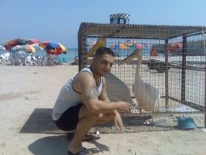 Hot beginners in a hot amateur picture