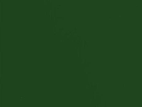 Stunning brunette teen in this hot pussy dildo video