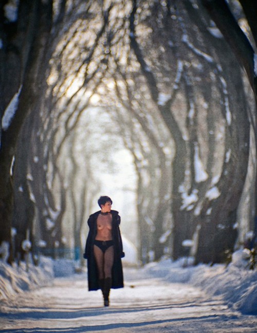 Amazing photo
