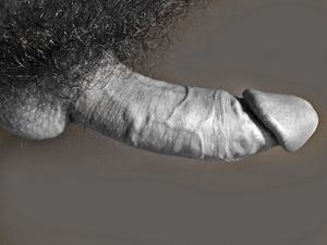 squeeze and pump veins