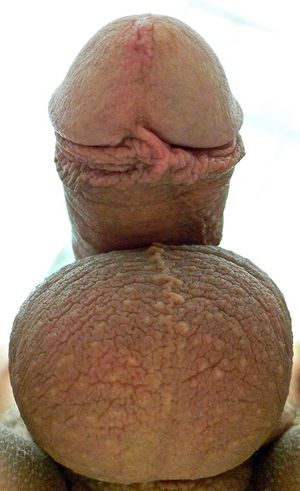 Hot photo with a amazing gay