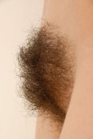 Hot brunette in incredible rookie vagina picture