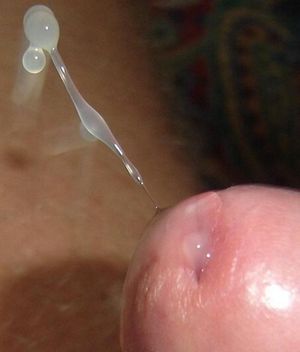 Awesome money shot photo