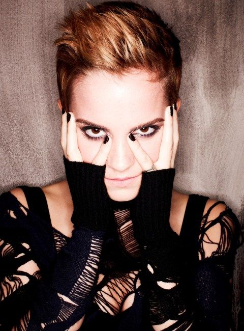 Emma Watson has reportedly turned down the chance to play the part of