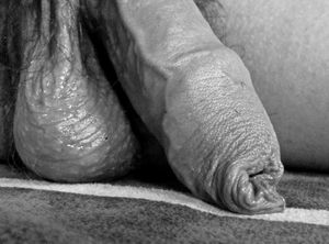 Awesome pic with beautiful gay