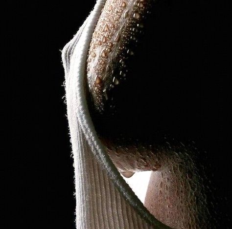Hot photo with gorgeous boobs