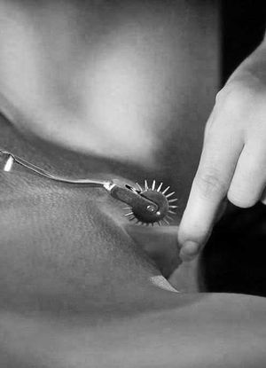 Incredible bondage vagina photo