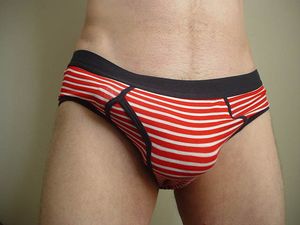 Amazing panties picture with a lovely gay teen