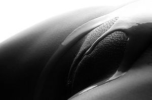 milk, alcohol, honey...? Who cares - just lick it!