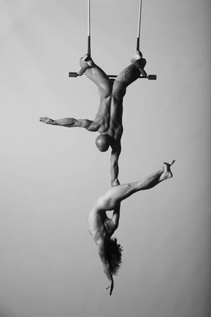 Incredible photo with a beautiful muscular body