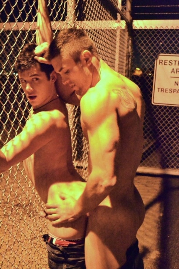 Fenced In