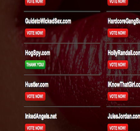Nominated News from us here at Hogspy as we get nominated for an Adult Industry award. The inaugural Sex Awards 2013 have just released their brand new voting site allowing surfers to vote across a number of different Adult Industry categories with the ex