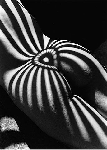 Shadows