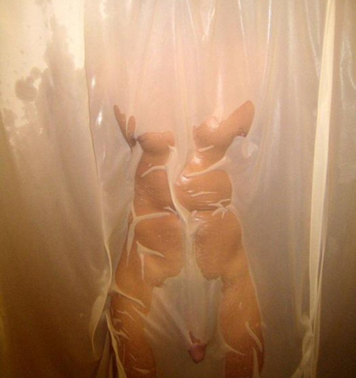 Shower curtain