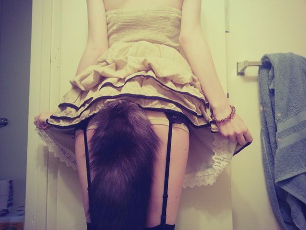 demure kitty